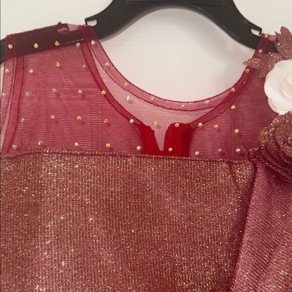 Indian style gown Glittery Red Dress with Floral Accent NWT 4/5 yrs - Picture 4 of 9